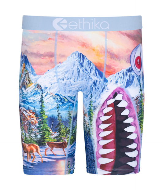 Ethika Men's Staple Boxer Brief, BMR Abominable (BLU XX - Large)